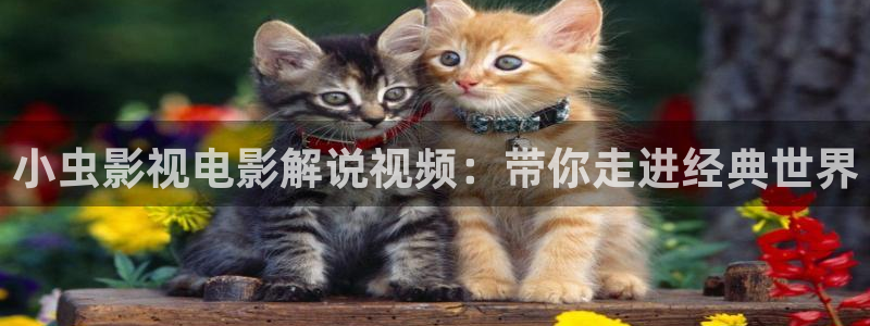 神马影院原来伦理：小虫影视电影解说视频：带你走进经典世界