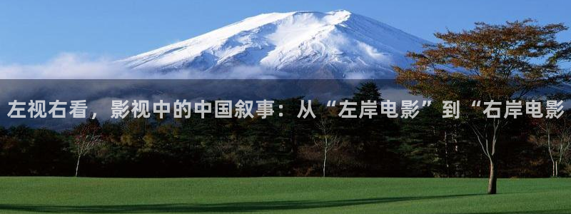 神马影视4k4k：左视右看，影视中的中国叙事：从“左岸电影”到“右岸电影